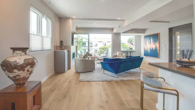 Coral lifestyle