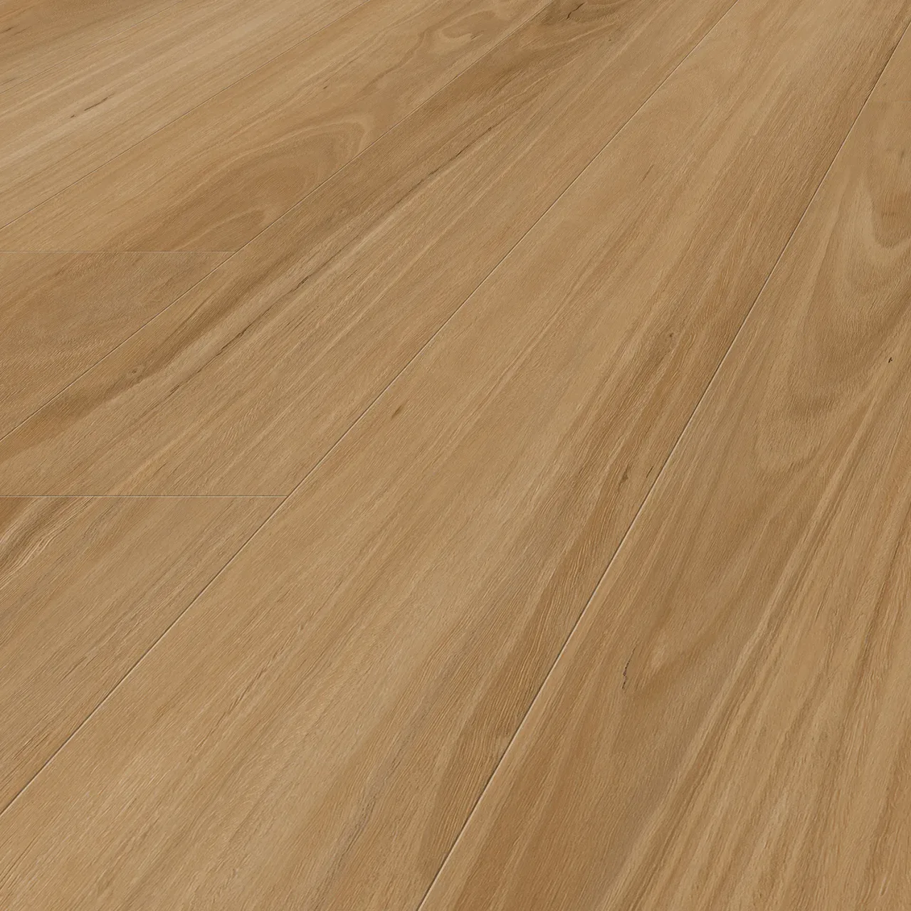 Blackbutt angle
