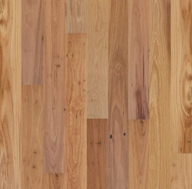 Blackbutt swatch — Eucalypt