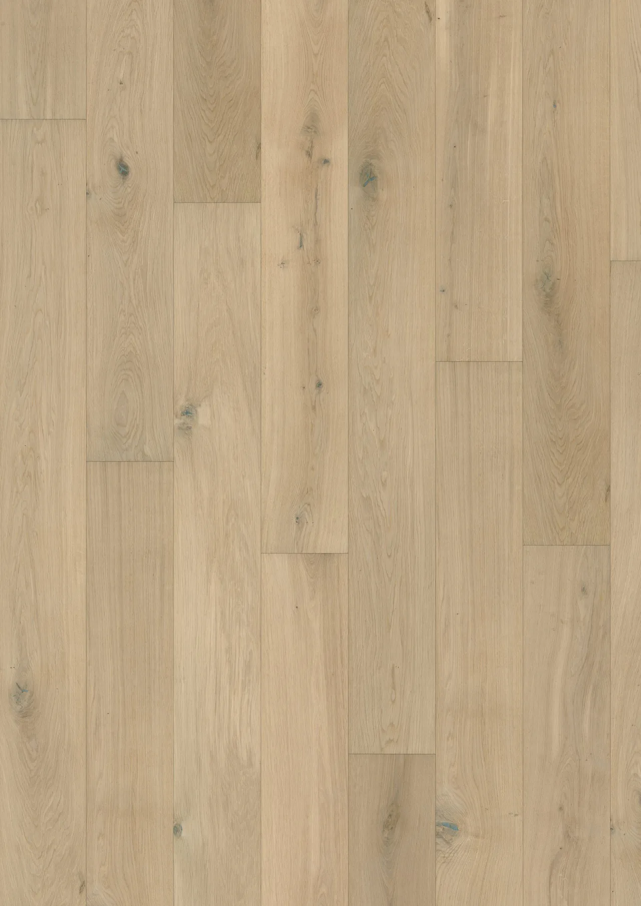 Forever collection flooring swatch showing Pure Diamond in Authentic European oak with matte ColourGrain finish.