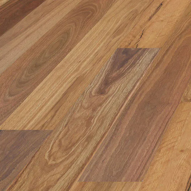 Spotted Gum Wide swatch — Eucalypt