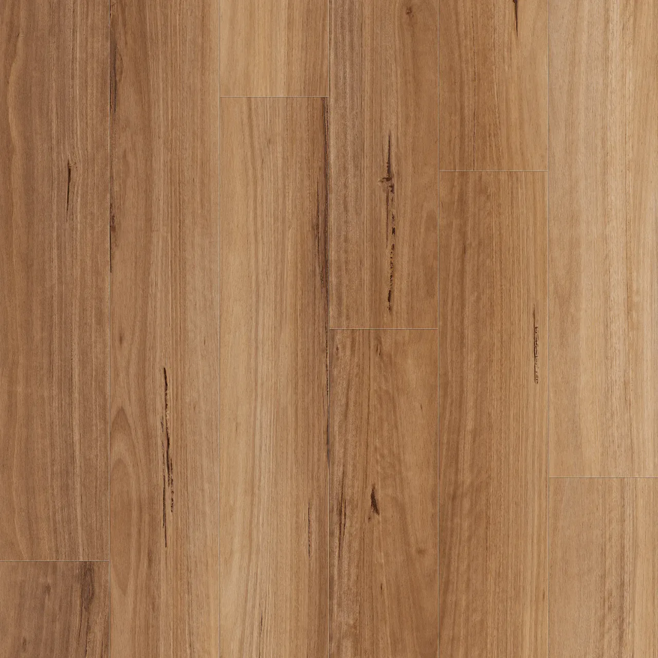 Spotted Gum swatch — Phoenix