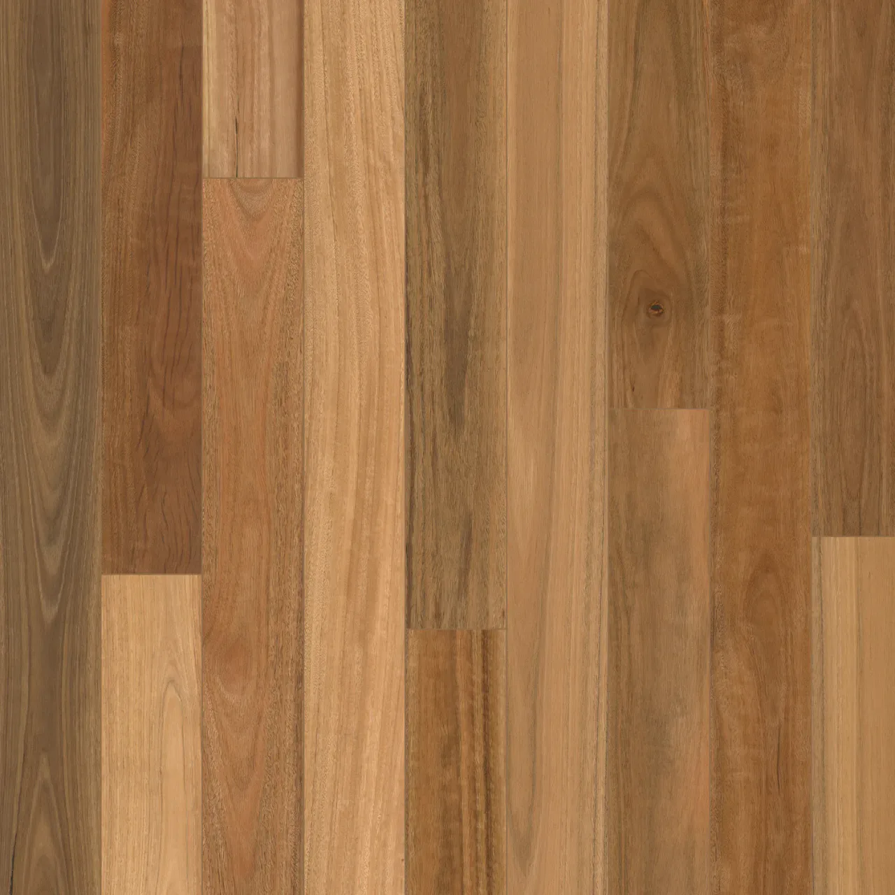Spotted Gum swatch — Tribute