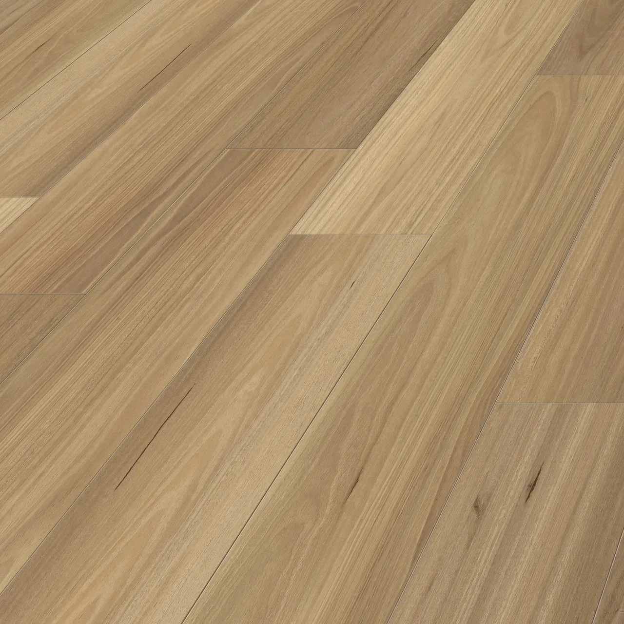 Blackbutt angle
