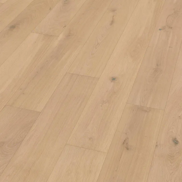 Absolute angle
