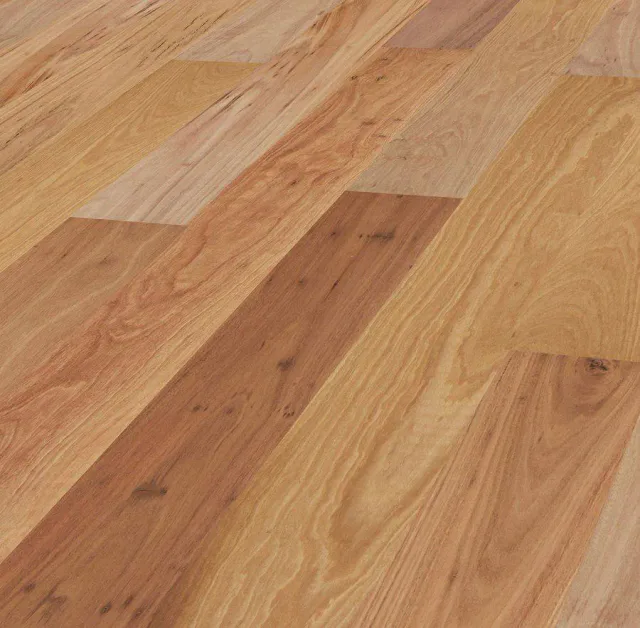 Blackbutt Wide swatch — Eucalypt