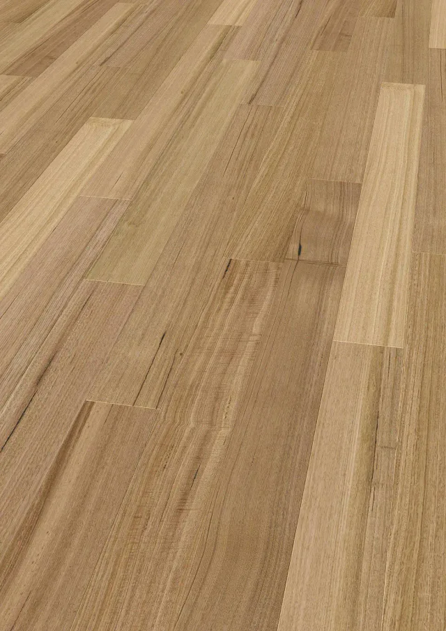 Tasmanian Oak angle