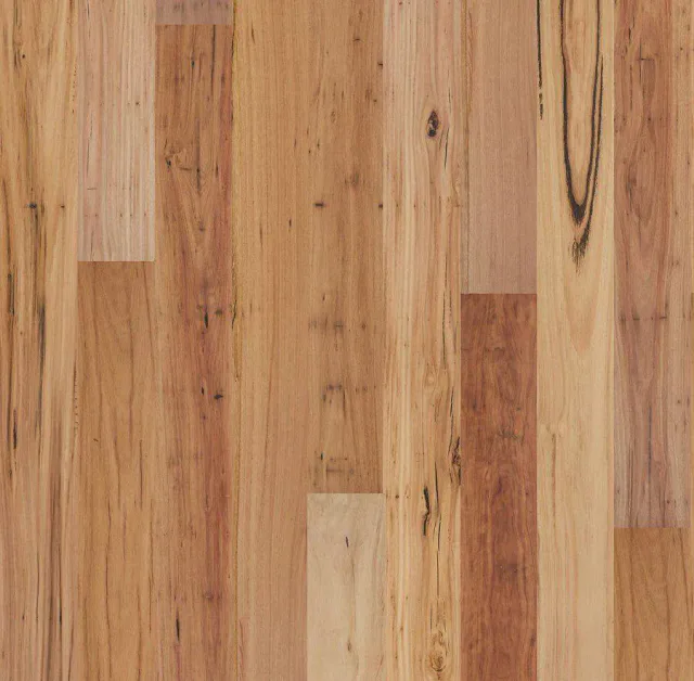 Blackbutt Rustic swatch — Eucalypt
