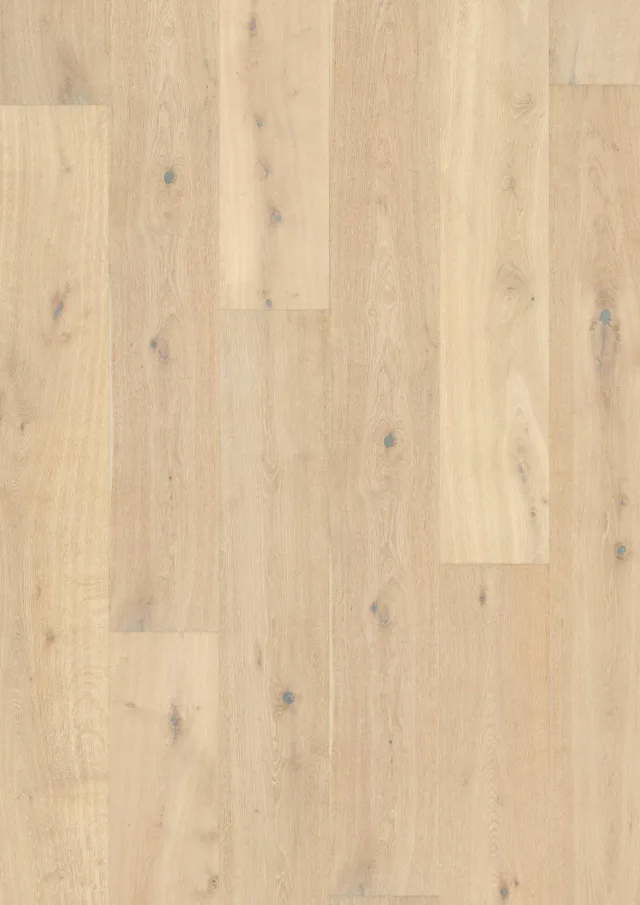 Ivory swatch — Vero