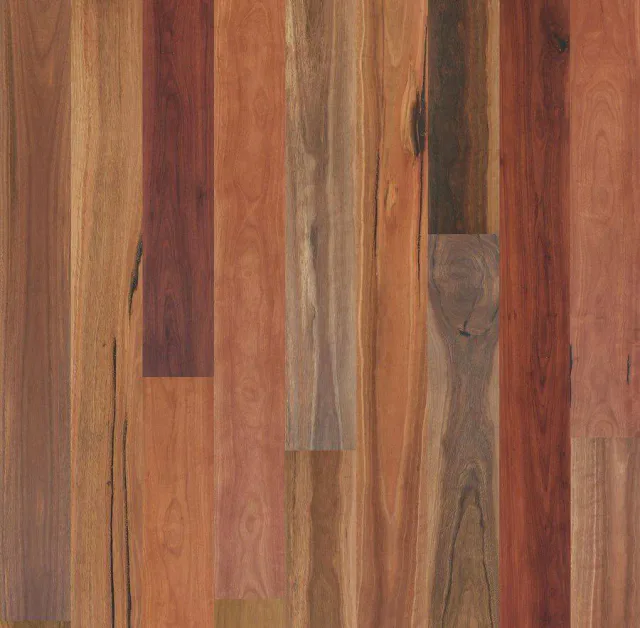 Spotted Gum Rustic swatch — Eucalypt