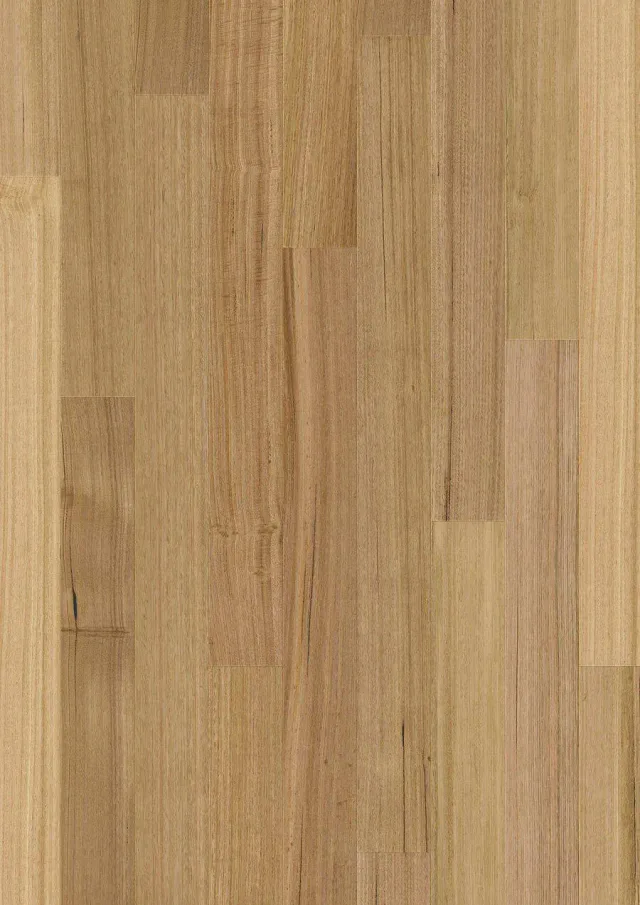 Tasmanian Oak swatch — Eucalypt