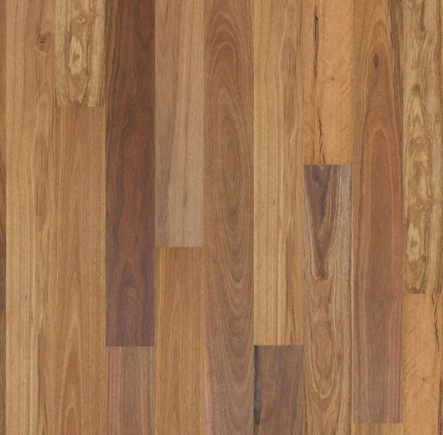 Spotted Gum swatch — Eucalypt