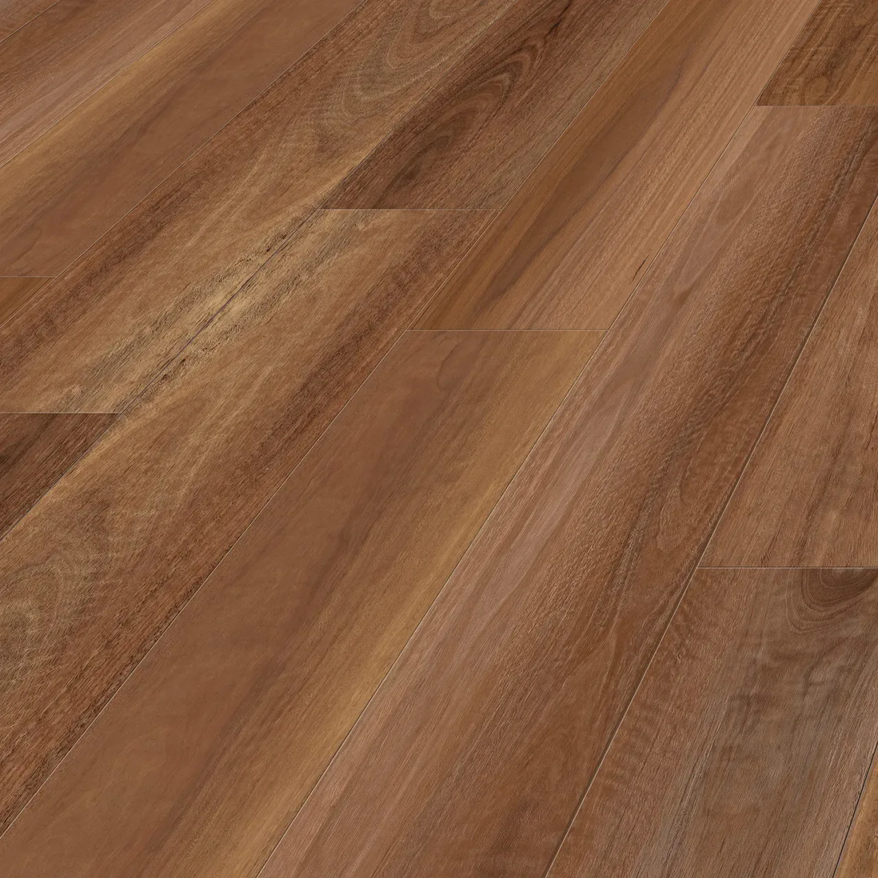 Spotted Gum angle