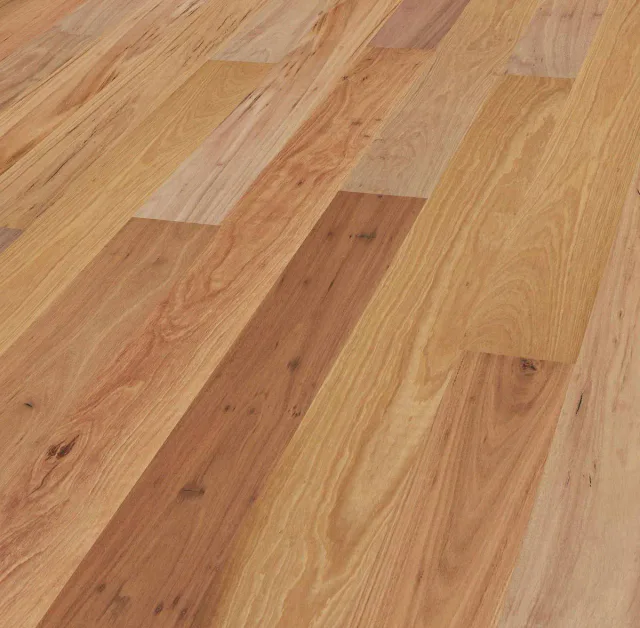 Blackbutt angle