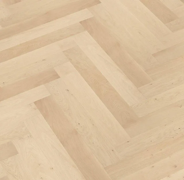 Ivory angle