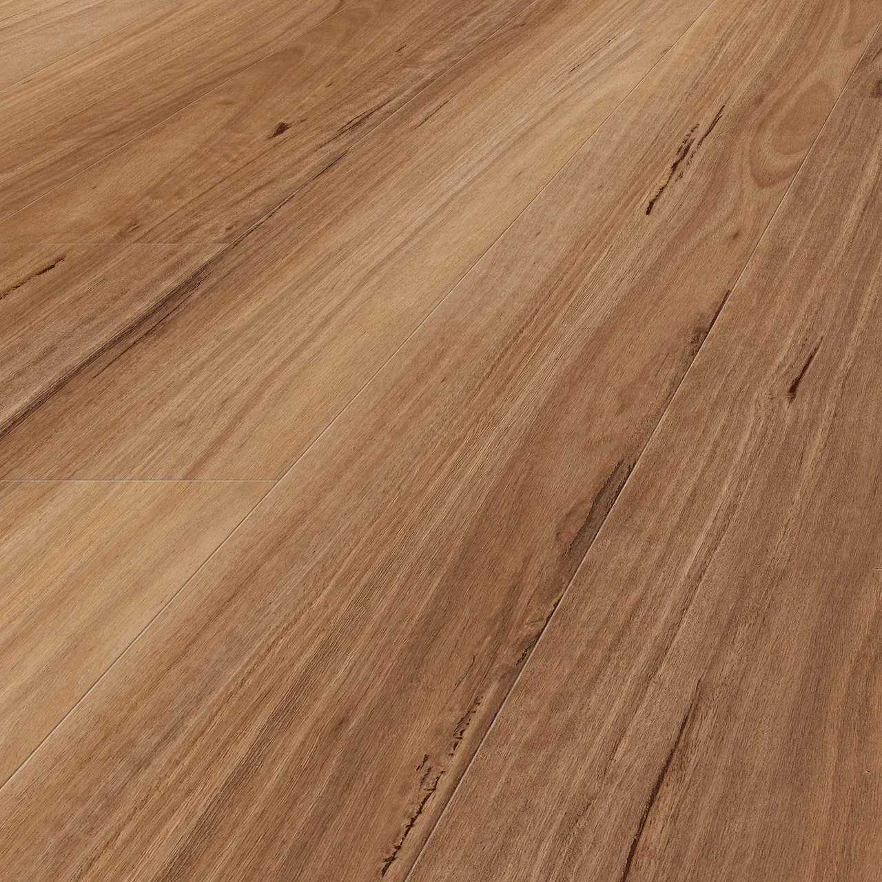 Spotted Gum angle