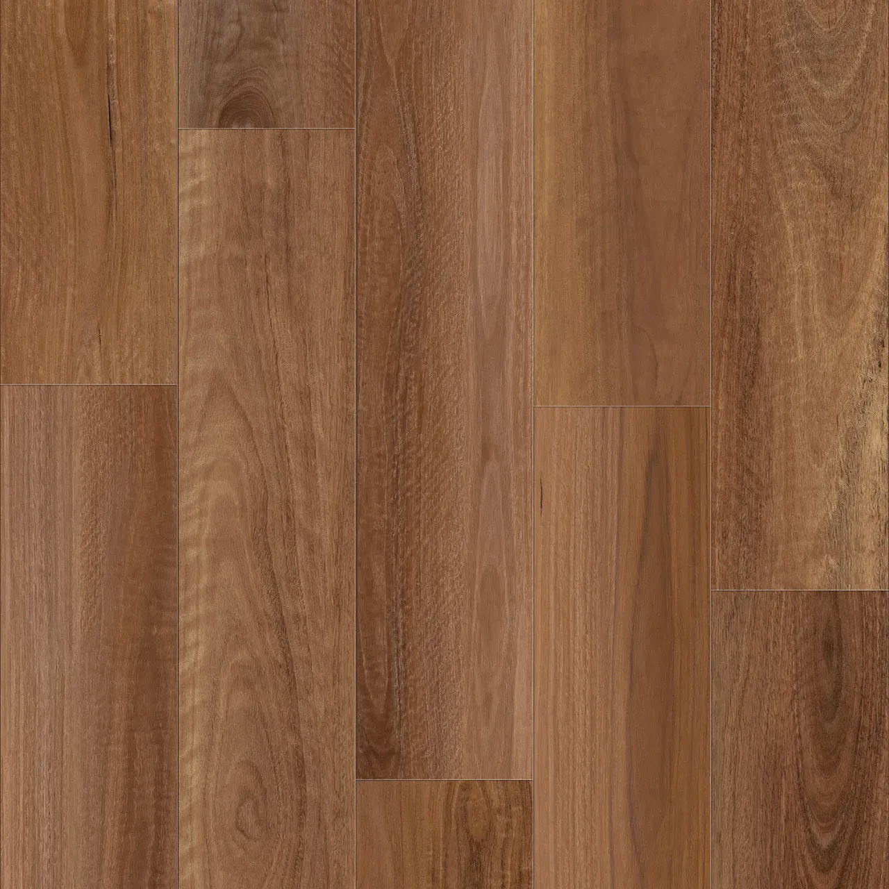 Spotted Gum swatch — Lumina