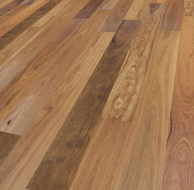 Spotted Gum angle