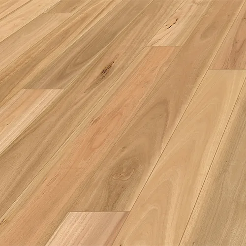 Blackbutt angle